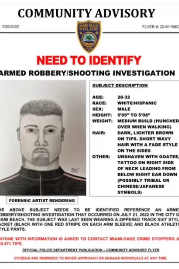 Identikit del atacante.