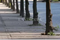 Servicio Meteorológico Nacional: cómo estará el clima el fin de semana en Tucumán