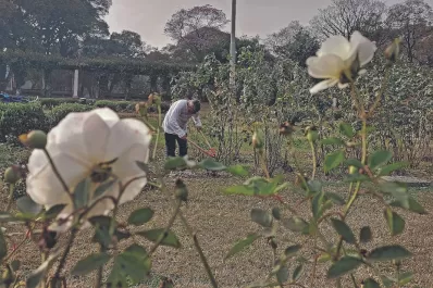 Renuevan El Rosedal: puesta a punto para la primavera
