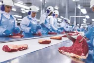 México auditó la producción de carne bovina de la Argentina