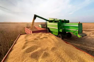 Los productores que conserven más de 5% de soja tendrán costos financieros más altos