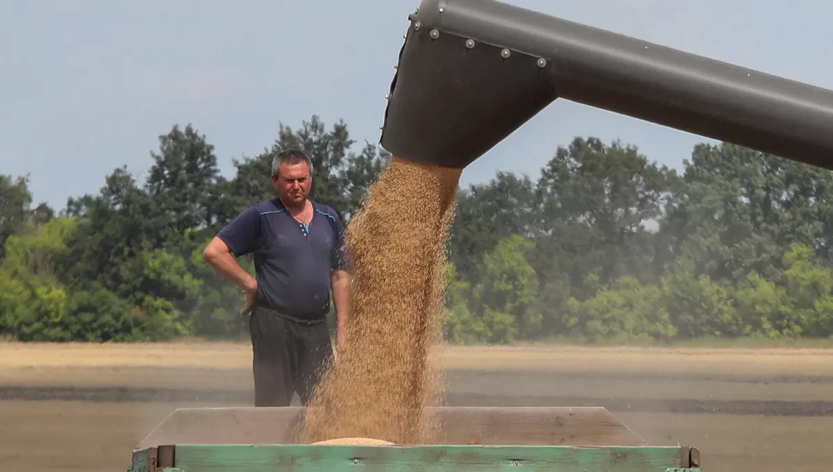 ALIVIO. Rusia y Ucrania son los mayores exportadores de granos a nivel mundial.