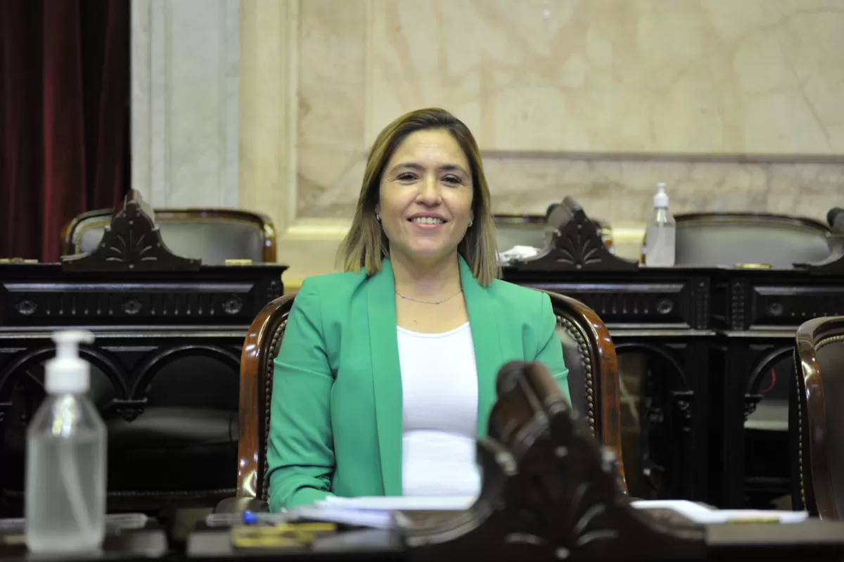EN LA BANCA. Mabel Carrizo, diputada nacional por Tucumán y dirigente de La Cámpora. Foto de Facebook