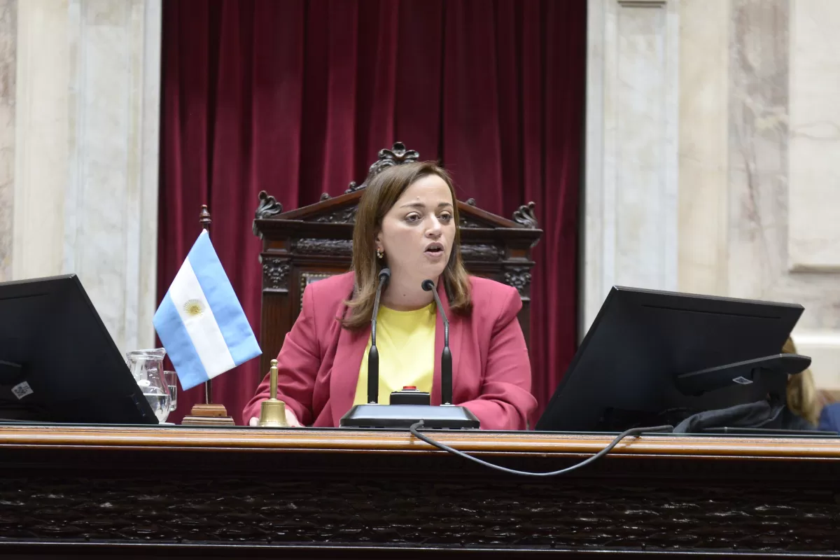 Cecilia Moreau fue electa presidenta de la Cámara de Diputados