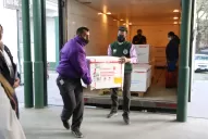 Covid-19: mañana comenzará la vacunación a niños de seis meses a dos años