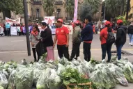 Agricultores protestan frente a la Casa de Gobierno: regalan verduras y exigen medidas urgentes