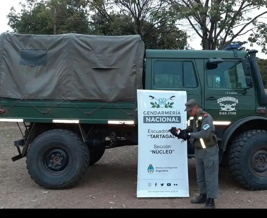 Rescataron a un tucán herido por cazadores furtivos