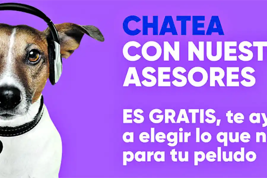 Idearon una startup para mascotas que superó los $ 1.000 millones en ventas