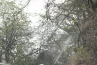 Una pequeña chispa puede incendiarlo todo