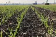 Mejor humedad al norte y al centro de Tucumán