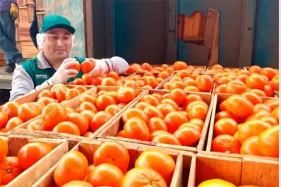 Fuerte crecimiento de Perú en la exportación de mandarinas