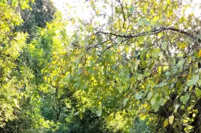 “Trasmontaña Pasión Biker”: sabe lo que es superarse