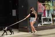 Sin recolección de residuos ni estacionamiento pago, así funcionará hoy la ciudad