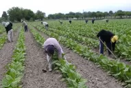 Productores reclaman al secretario de Agricultura de la Nación el pago del Fondo Especial del Tabaco