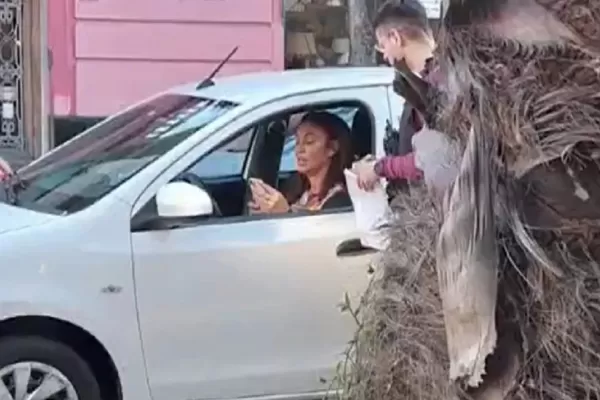 Ernestina Pais habló tras el accidente que protagonizó en Palermo: ¿Qué dijo?