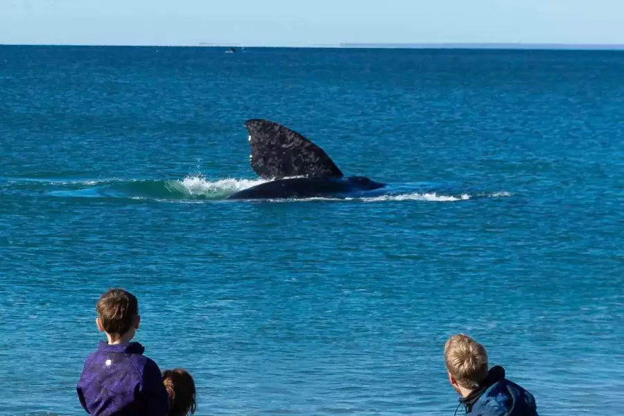 Previaje 3: seis lugares ideales en La Patagonia para aprovechar el programa
