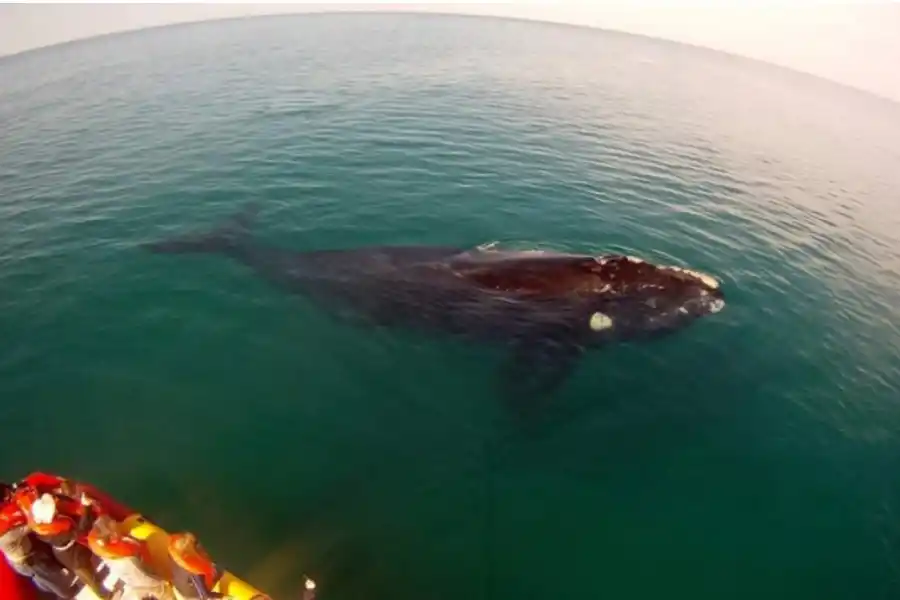 Previaje 3: seis lugares ideales en La Patagonia para aprovechar el programa