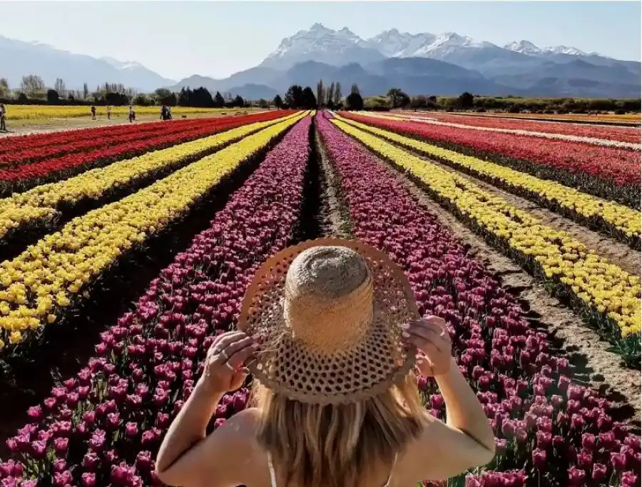 Previaje 3: seis lugares ideales en La Patagonia para aprovechar el programa