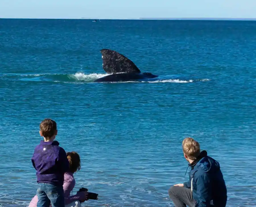 Previaje 3: seis lugares ideales en La Patagonia para aprovechar el programa