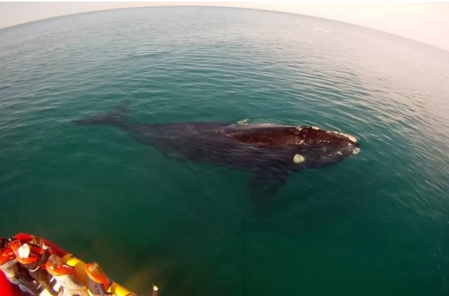 Previaje 3: seis lugares ideales en La Patagonia para aprovechar el programa
