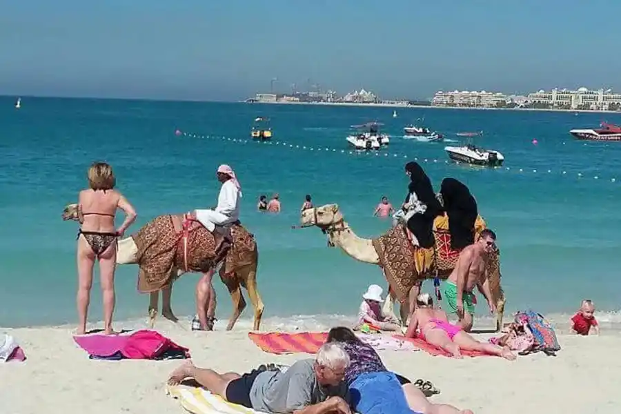 Mundial de Qatar 2022: qué hacer entre partido y partido