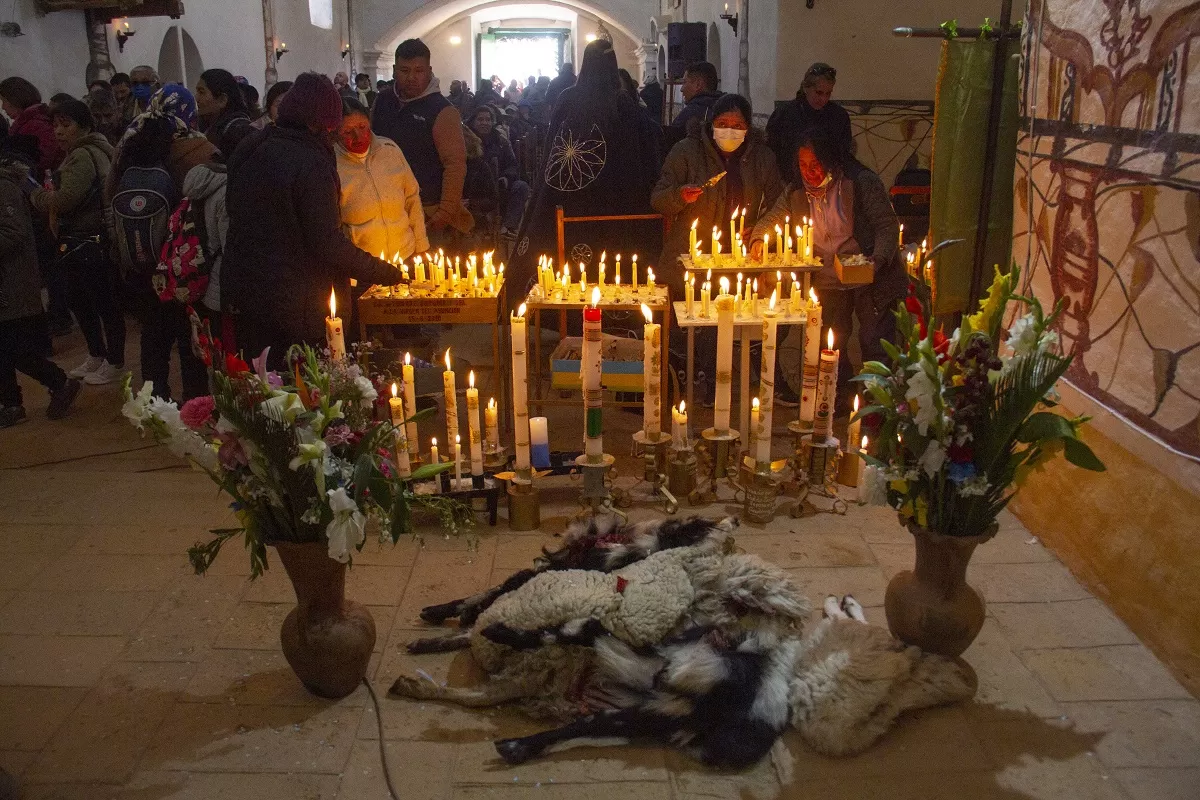 DANZA DE LOS SAMILANTES. Es una réplica de los movimientos de los suris.