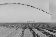 El 100% de la vinaza obtenida en Tucumán se dispone en suelos