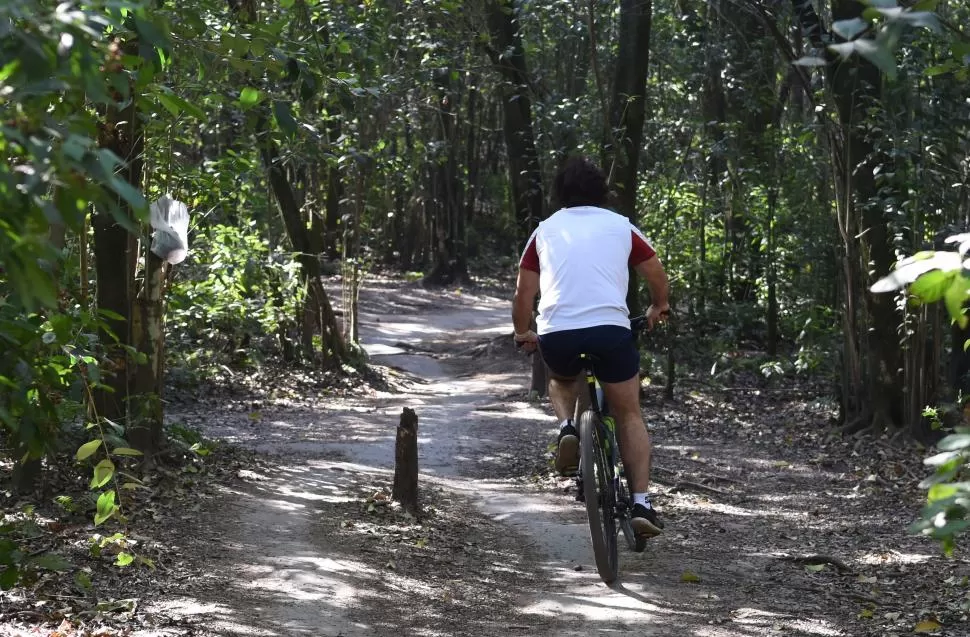 EN MEDIO DEL MONTE. Los bikers recomiendan a los deportistas no transitar solos por las sendas más alejadas del recorrido de “Senda Segura”. la gaceta / foto de josé nuno