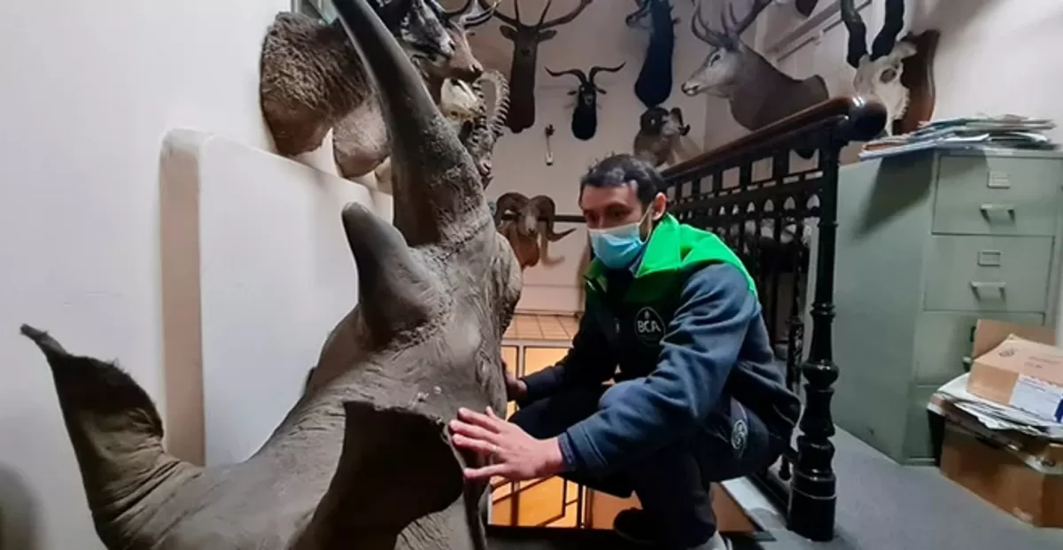 Encontraron un zoológico en la fábrica de chocolates de Ricardo Fort