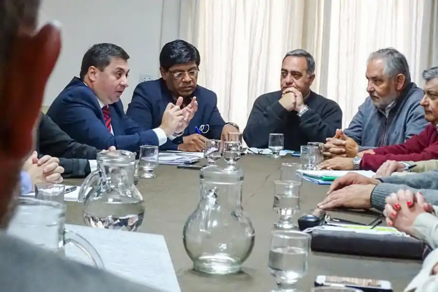 EN COMISIÓN. El ombudsman adjunto acercó inquietudes a los concejales.