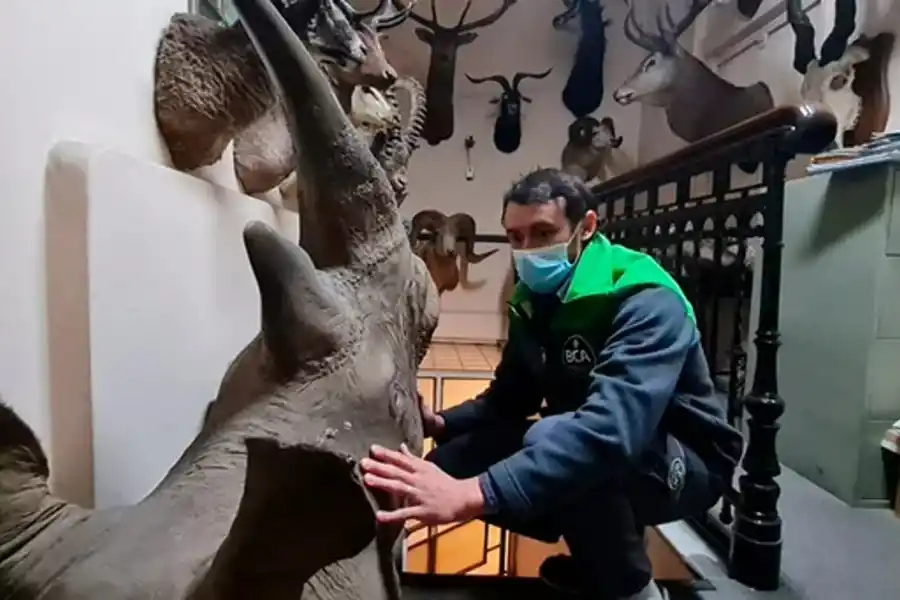 Encontraron un zoológico en la fábrica de chocolates de Ricardo Fort