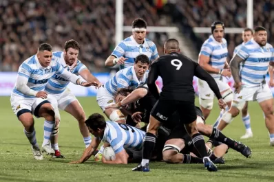 Las cifras que entusiasman de Los Pumas en el Rugby Championship