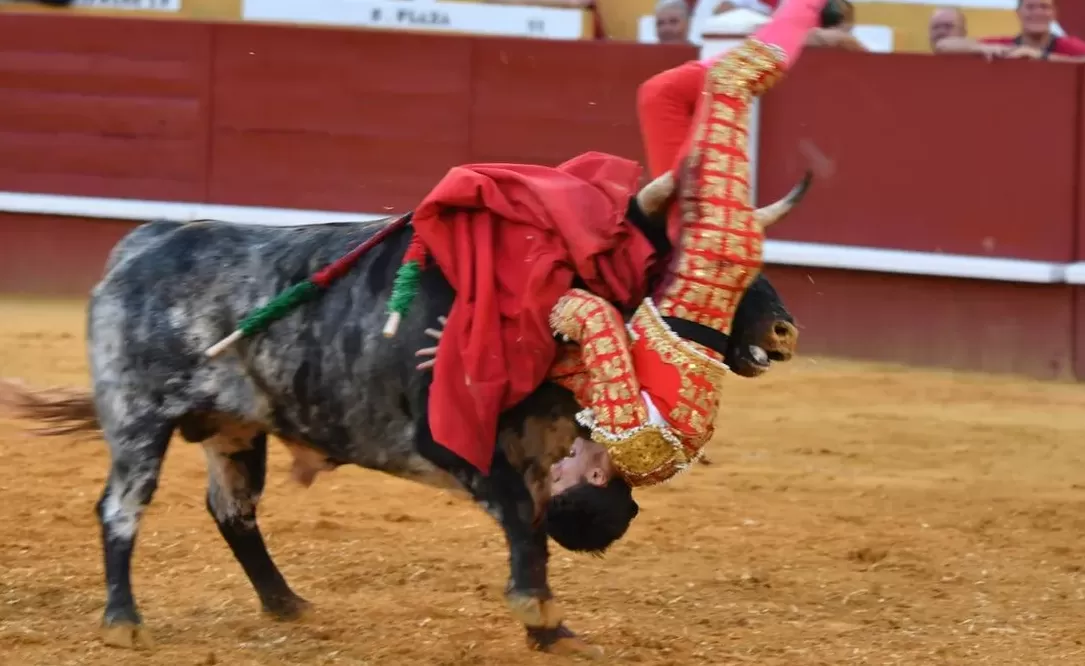 El momento en que el toro ataca a Manuel Diosleguarde