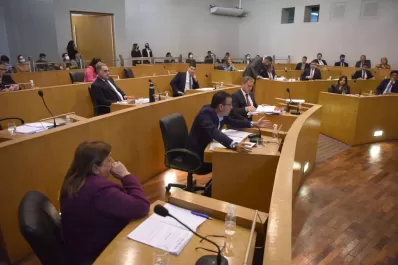 Estacionamiento medido: el Concejo exhortó a Alfaro a que anule el contrato