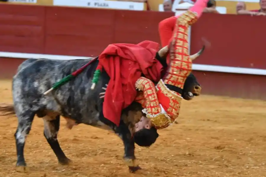 El momento en que el toro ataca a Manuel Diosleguarde
