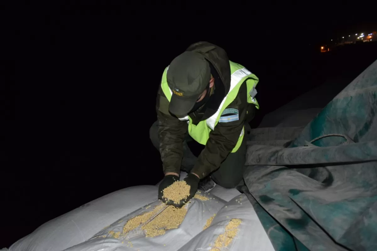 Contrabando: decomisan 77 toneladas de soja y 18.000 kilos de alfalfa sin documentación