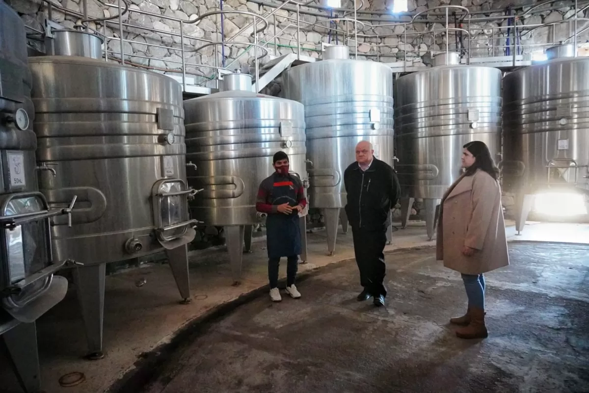 El legislador Masso destacó la necesidad de apoyar la producción vitivinícola local