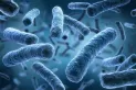 Legionella: en qué otros países del mundo se registraron casos