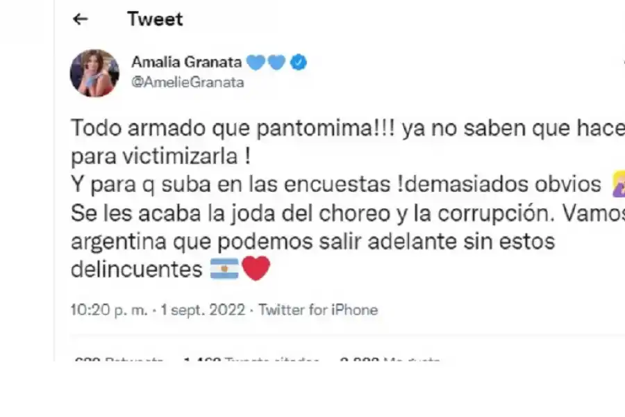 Amalia Granata, sobre el atentado a Cristina Kirchner: ¡Todo armado, qué pantomima!