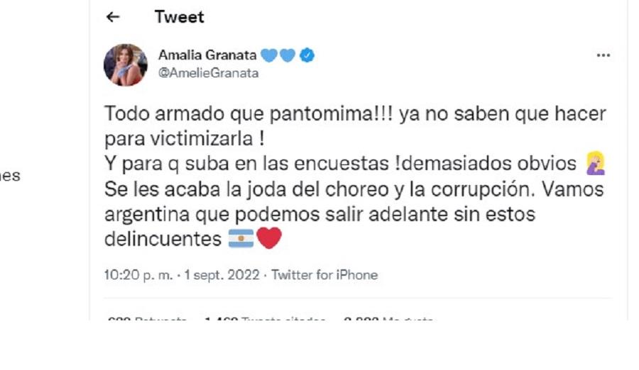 Amalia Granata, sobre el atentado a Cristina Kirchner: ¡Todo armado, qué pantomima!