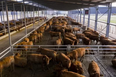 Innovador tratamiento para digestato y excretas