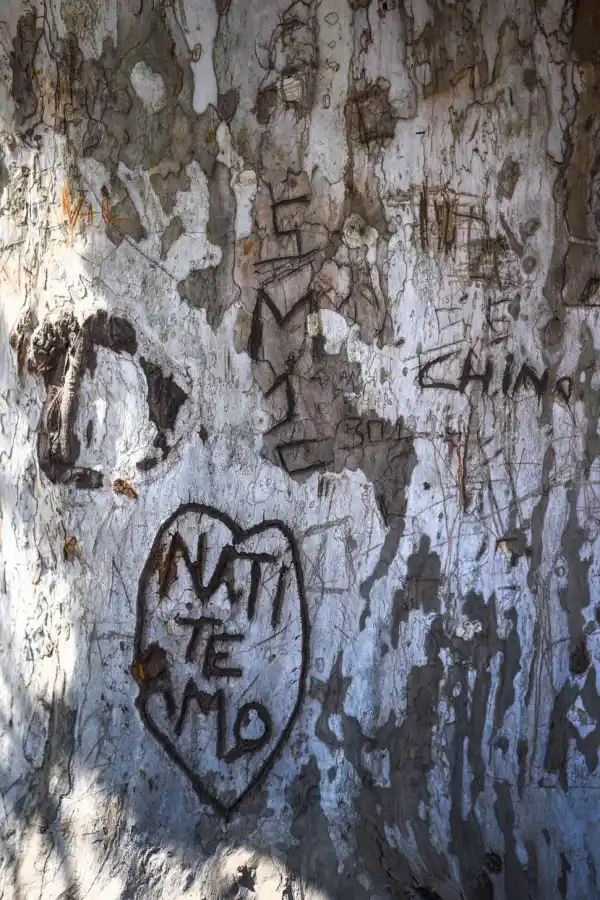 INNECESARIO. Habría que encontrar otras formas de expresar amor.  