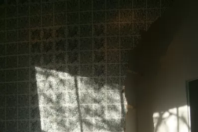 Lulú Lobo: “Me gusta pensar que puedo tocar las ideas”