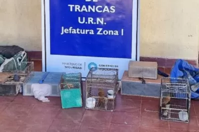 Liberaron 15 aves en cautiverio