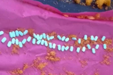 Familiares de detenidos intentaron ingresar pastillas dentro de chizitos