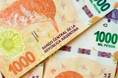 Bono Anses: ¿quiénes podrán cobrar los $ 50.000?