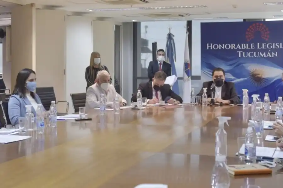 EN LABOR PARLAMENTARIA. Mansilla presidió la reunión de comisión que acordó la convocatoria al recinto. Foto de Prensa HLT