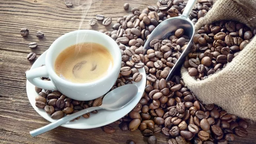 BENEFICIO. Dos o tres tazas de café al día prolongan la expectativa de vida, según investigaciones. 