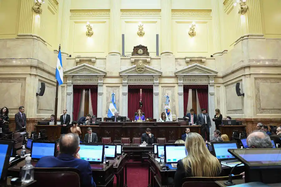 EN SESIÓN. Abdala de Zamora presidió el debate, del que sólo participaron el Frente de Todos y sus aliados. Foto de Prensa Senado