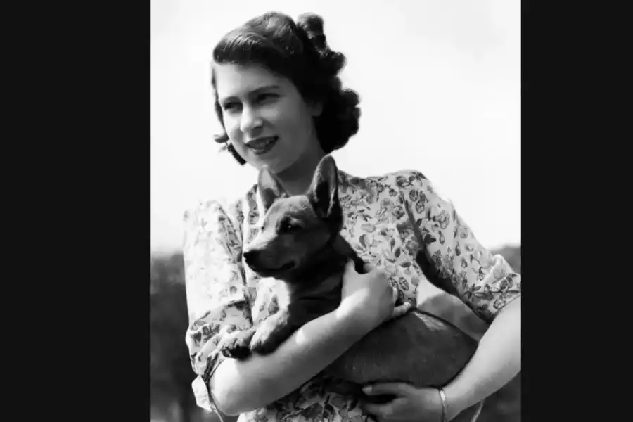 ISABEL JOVEN. Imagen de The Guardian